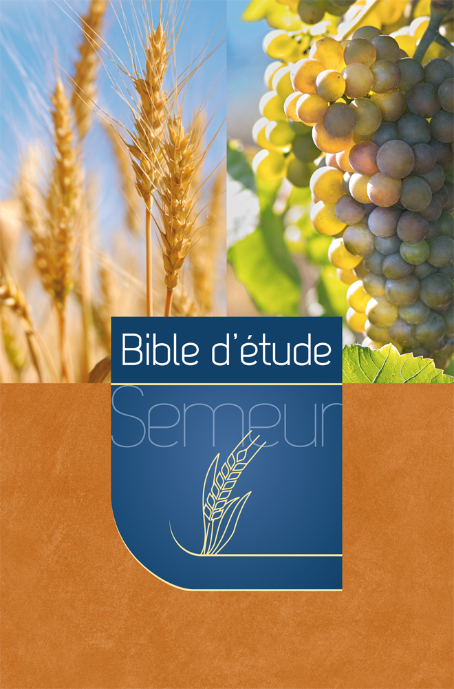 Bible d’étude Semeur Couverture rigide marron orange illustrée