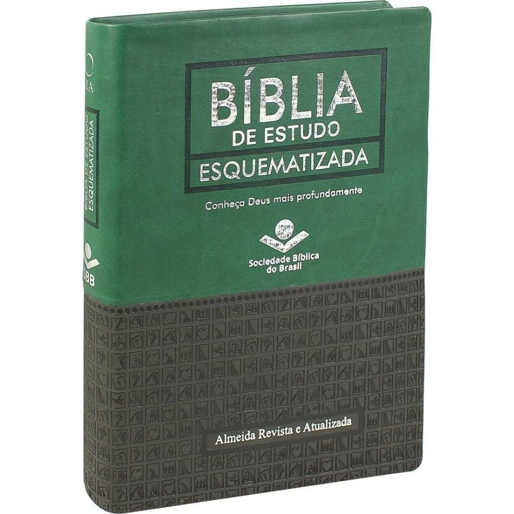 Bíblia de estudo esquematizada