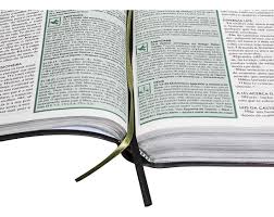 Bíblia de estudo esquematizada
